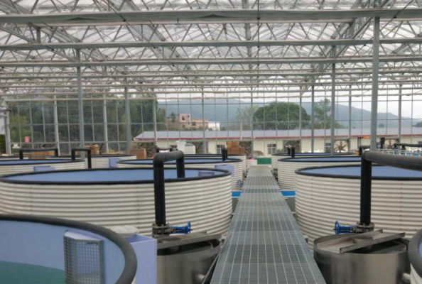 同益热泵恒温养殖项目