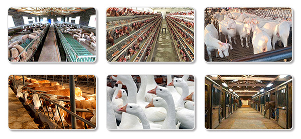 畜牧养殖