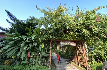 同益品质，再续尼泊尔信赖新篇：Jungle Crown与Yatra Sauraha酒店的温暖守护